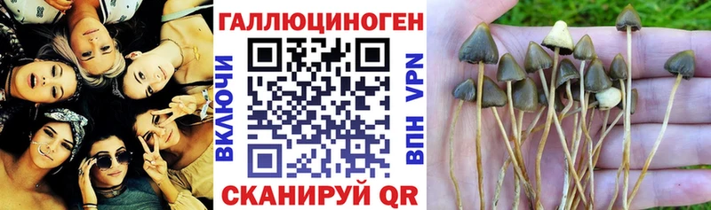 Галлюциногенные грибы прущие грибы Комсомольск
